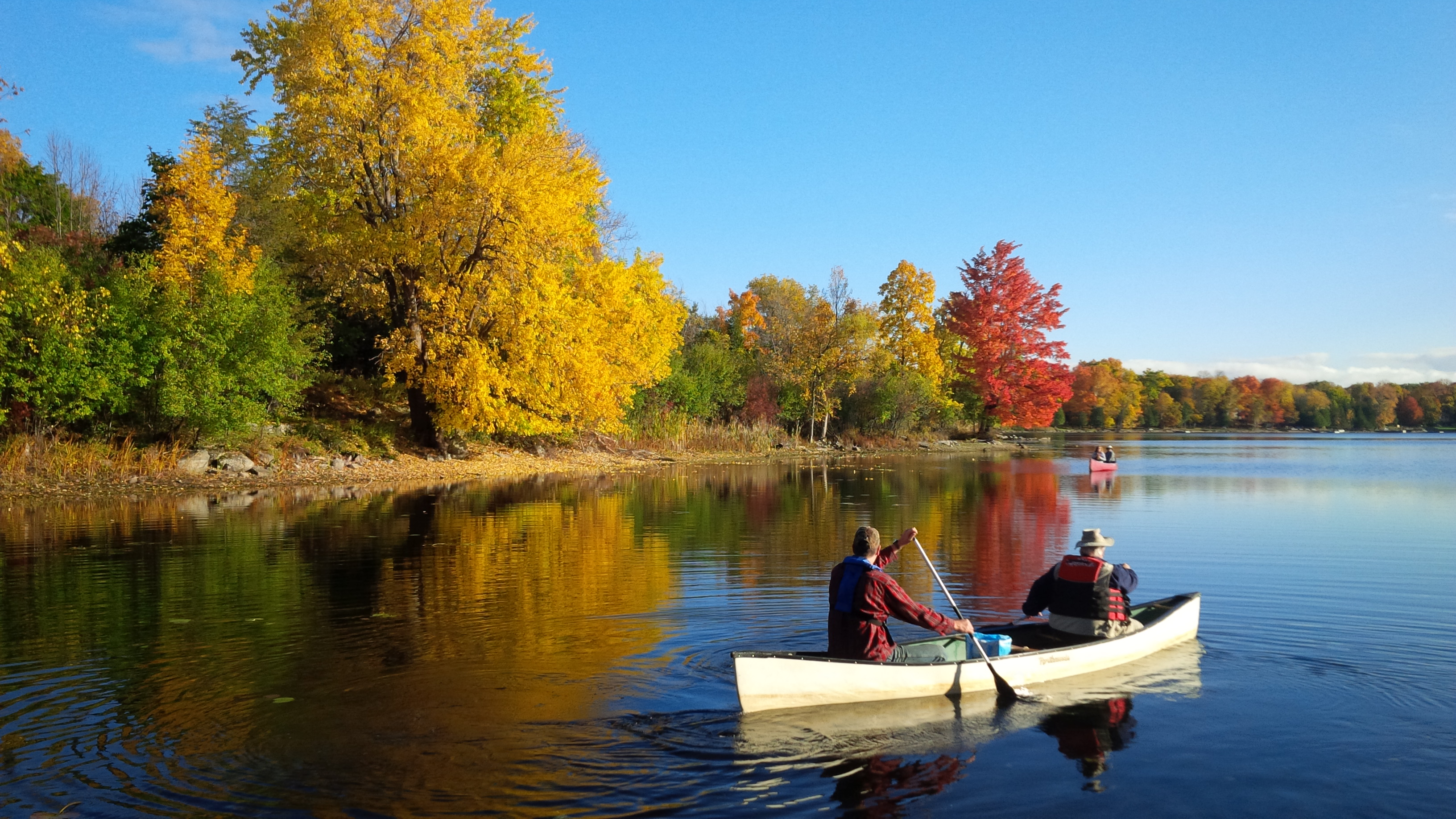 A lakeview in Lanark County