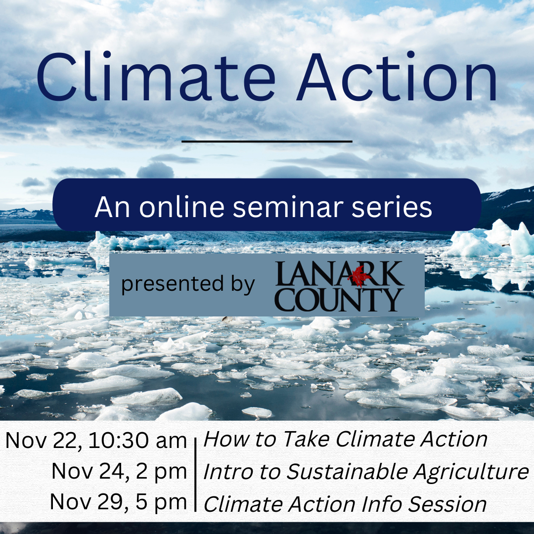 Climate Action online seminar