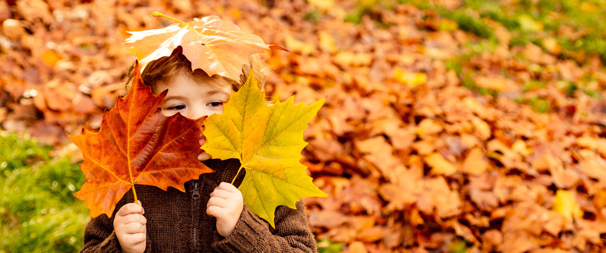 child playing in leaves