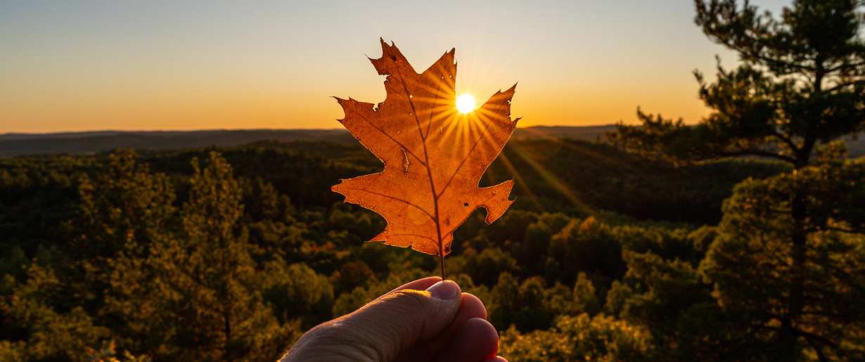 a hand holds an orange maple leaf in front of a beautiful sunset