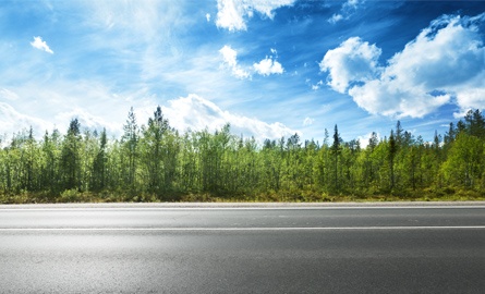 Report a Road, Trails or Transit Concern