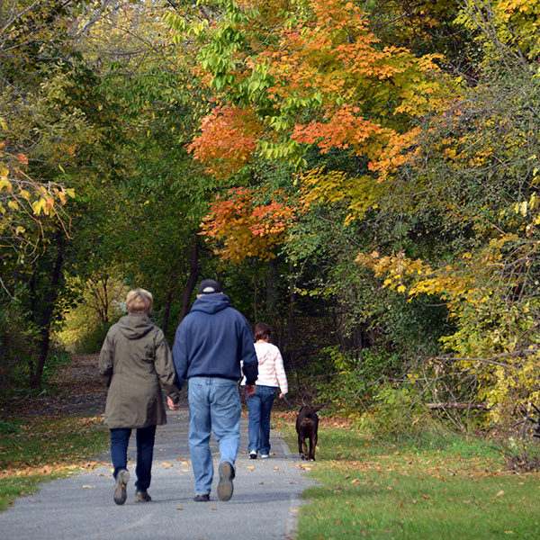 people have a walk in a park