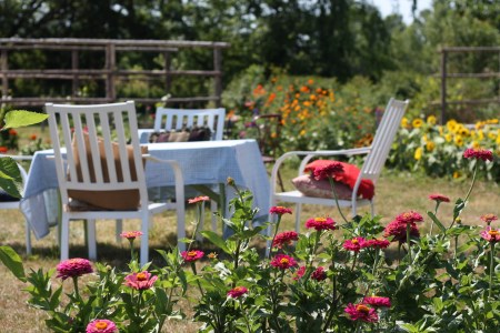 chairs and table in a farm