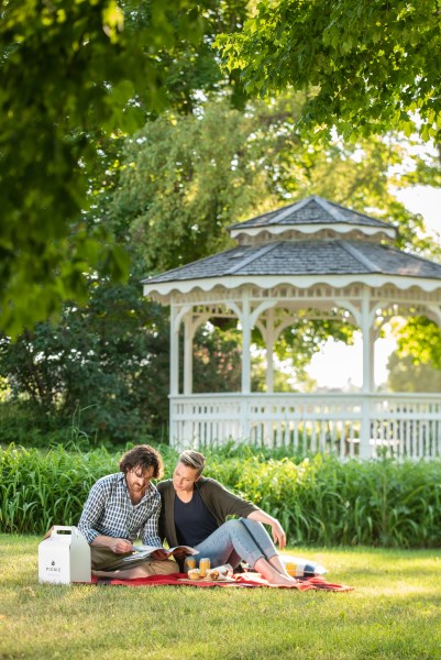 a couple picnic in a park