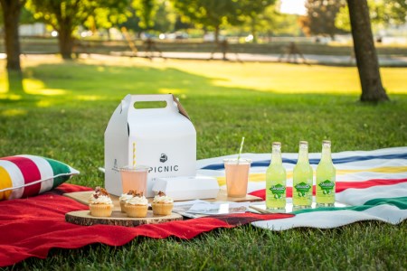 picnic basket for picnic