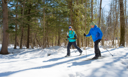 two people cross country skiing