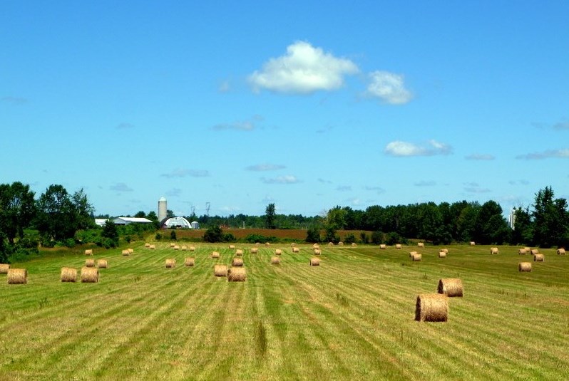 Barn Field