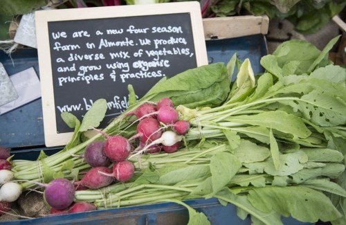 Fresh vegetables on sale