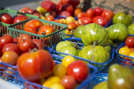 tomatoes sold in the market