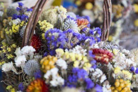 Flowers sold in the market