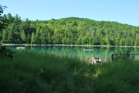 A Lake surrounded by trees in the summer