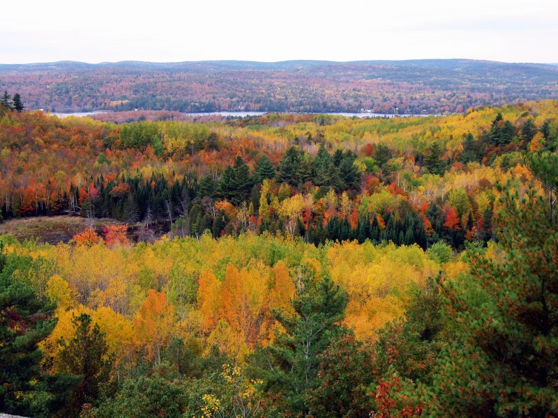 Omya Tatlock Quarry in the fall