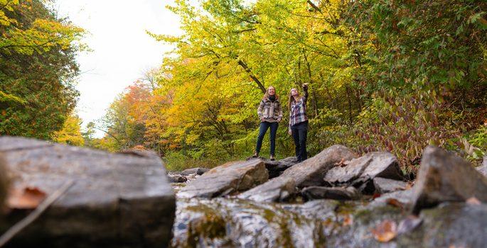 a group of friends go hiking