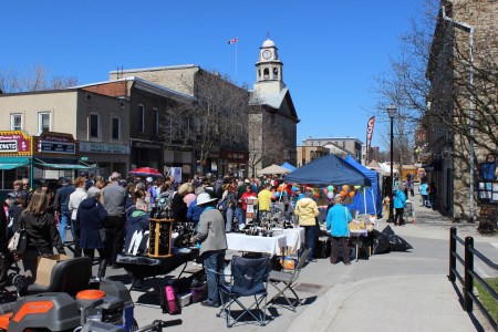 Festival of the Maples