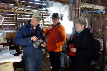 Maple Syrup Tasting in Fortune Farms