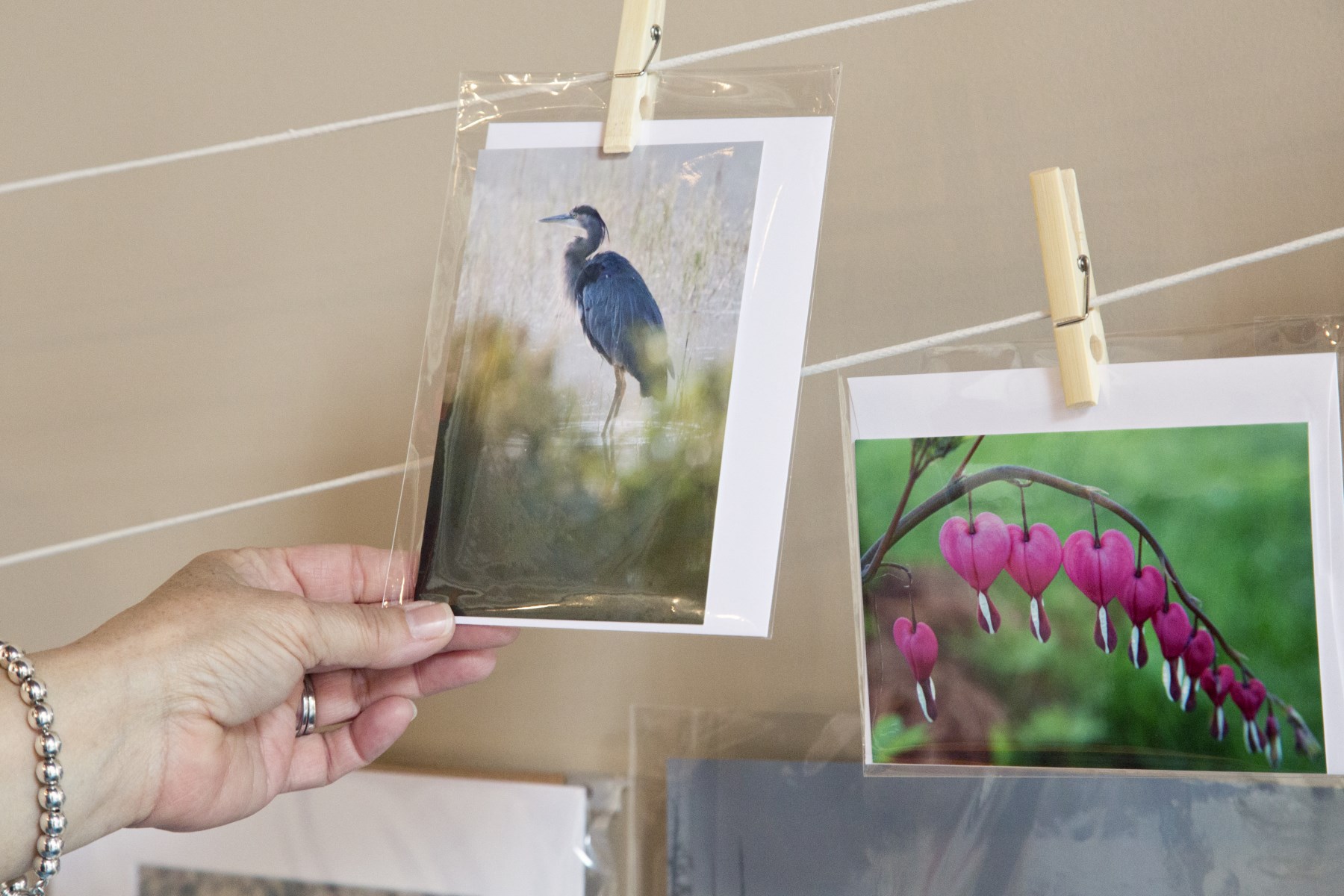 artworks displayed in a gallery