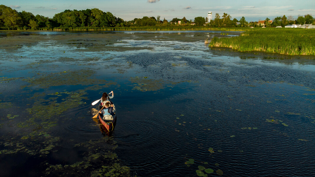 people paddling on a river