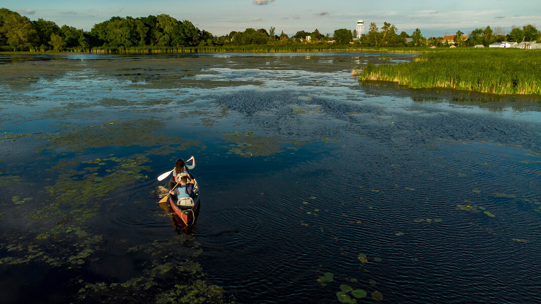 people paddling on a river