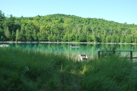 a lake surrounded by trees