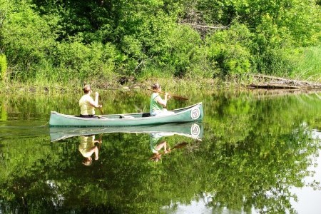 a group of people paddling on a river