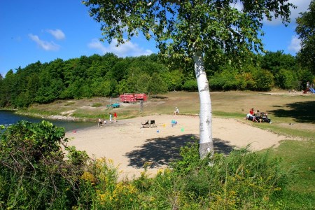 people in the beach 