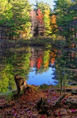 a trail in the fall