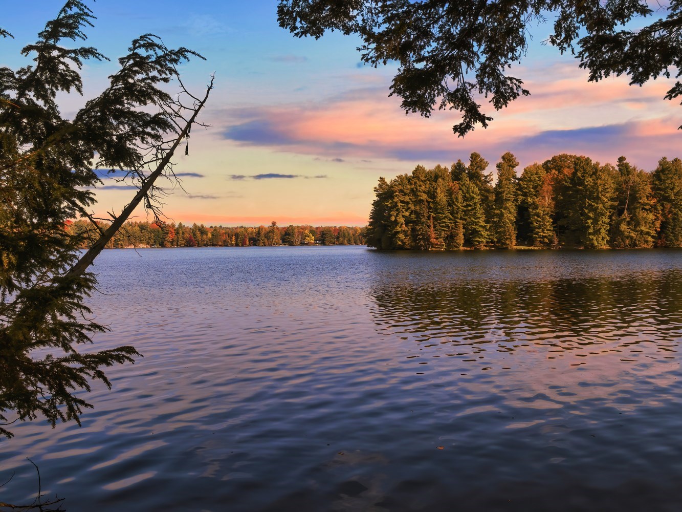 trees and a lake in the Sliver lake Provincial Park