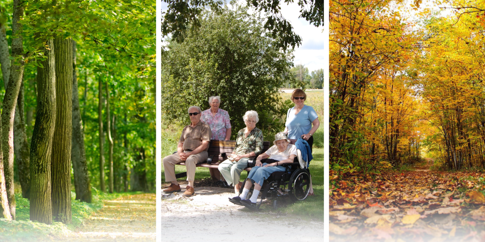 three photo collage: trees in summer, fall and people going on a trail