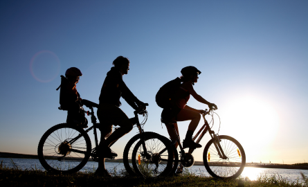 a family on bikes silhouetted in front of a sunset