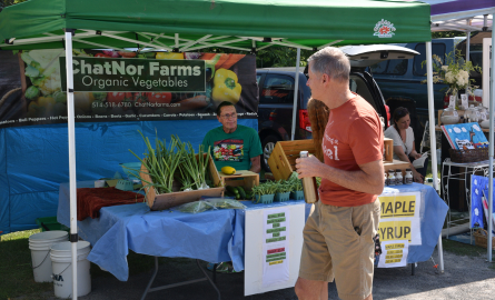 a man browsing stands at a farmer's market