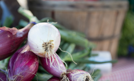 purple and green onions