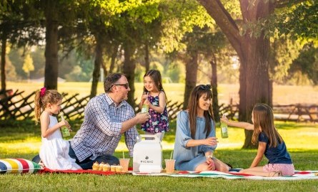 a family picnic in a park