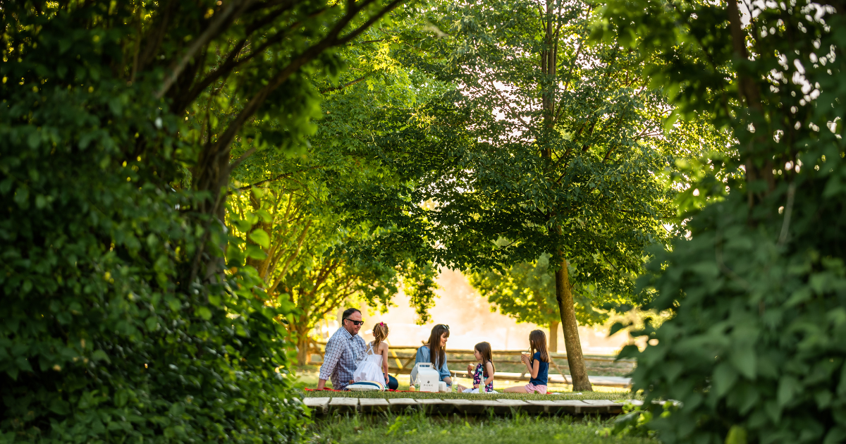 a family enjoying a picnic in a beautiful lush park