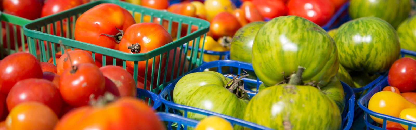 Lanark County Harvest Festival