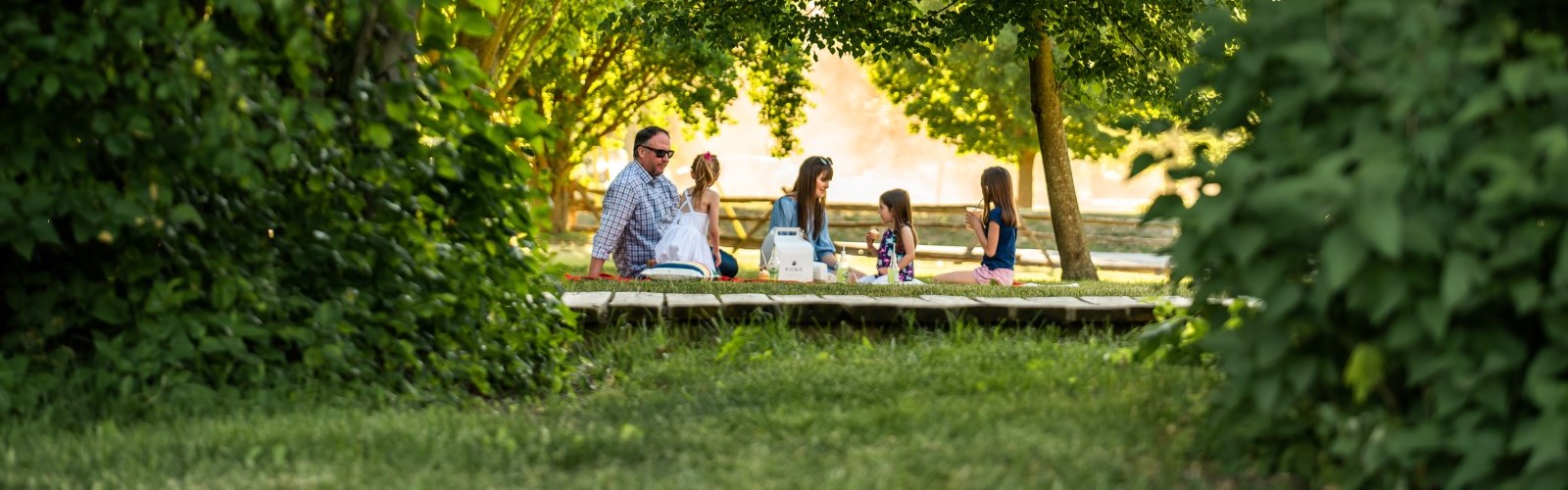 Beautiful Picnic Spots in Lanark County