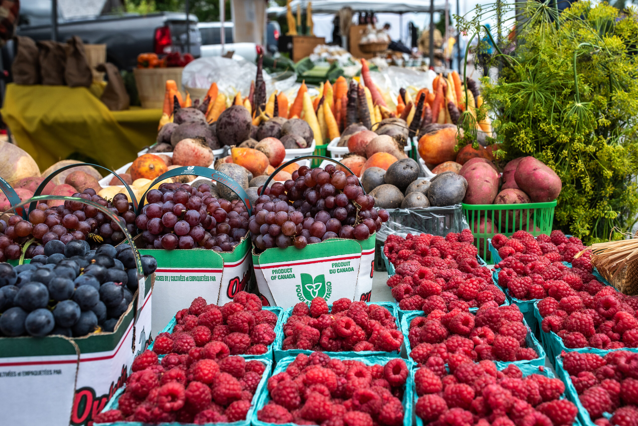Lanark County Harvest Festival Vendor Application