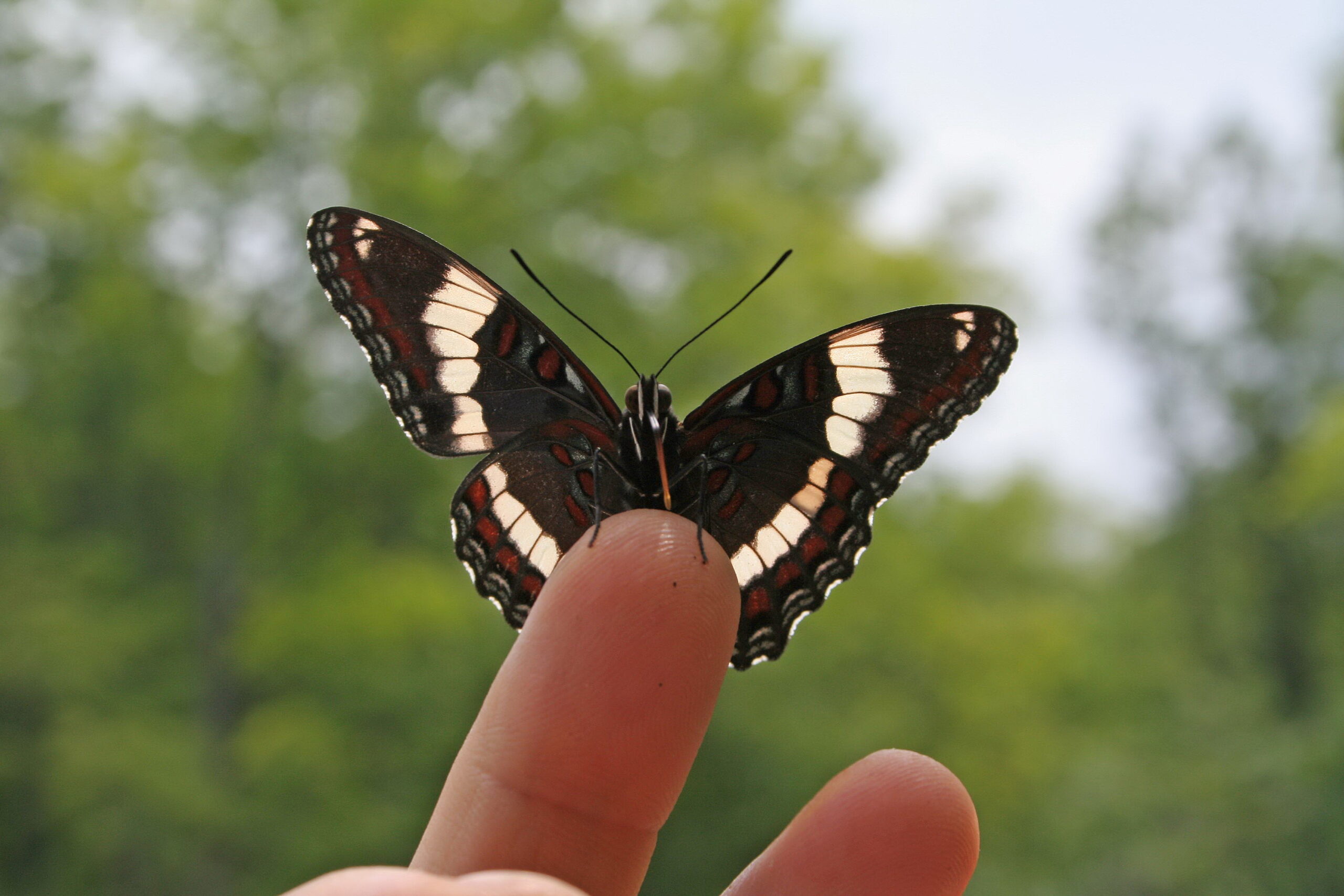 Earth Day Trivia Night