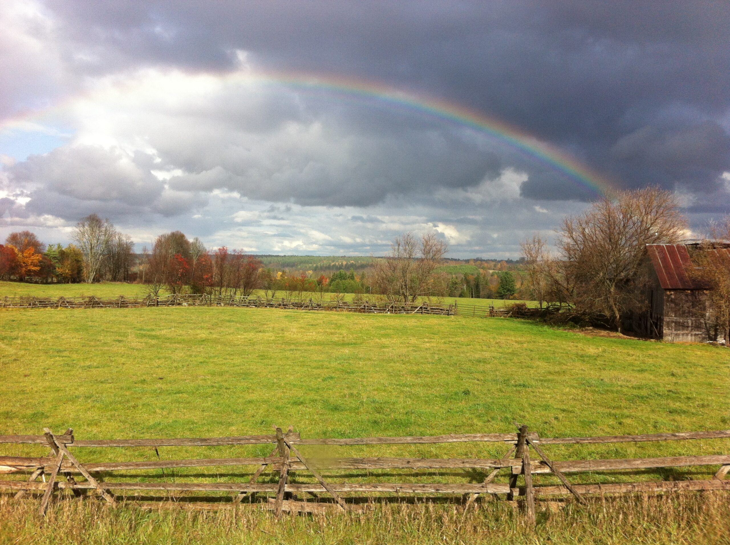 Queer Rural Living in Ontario