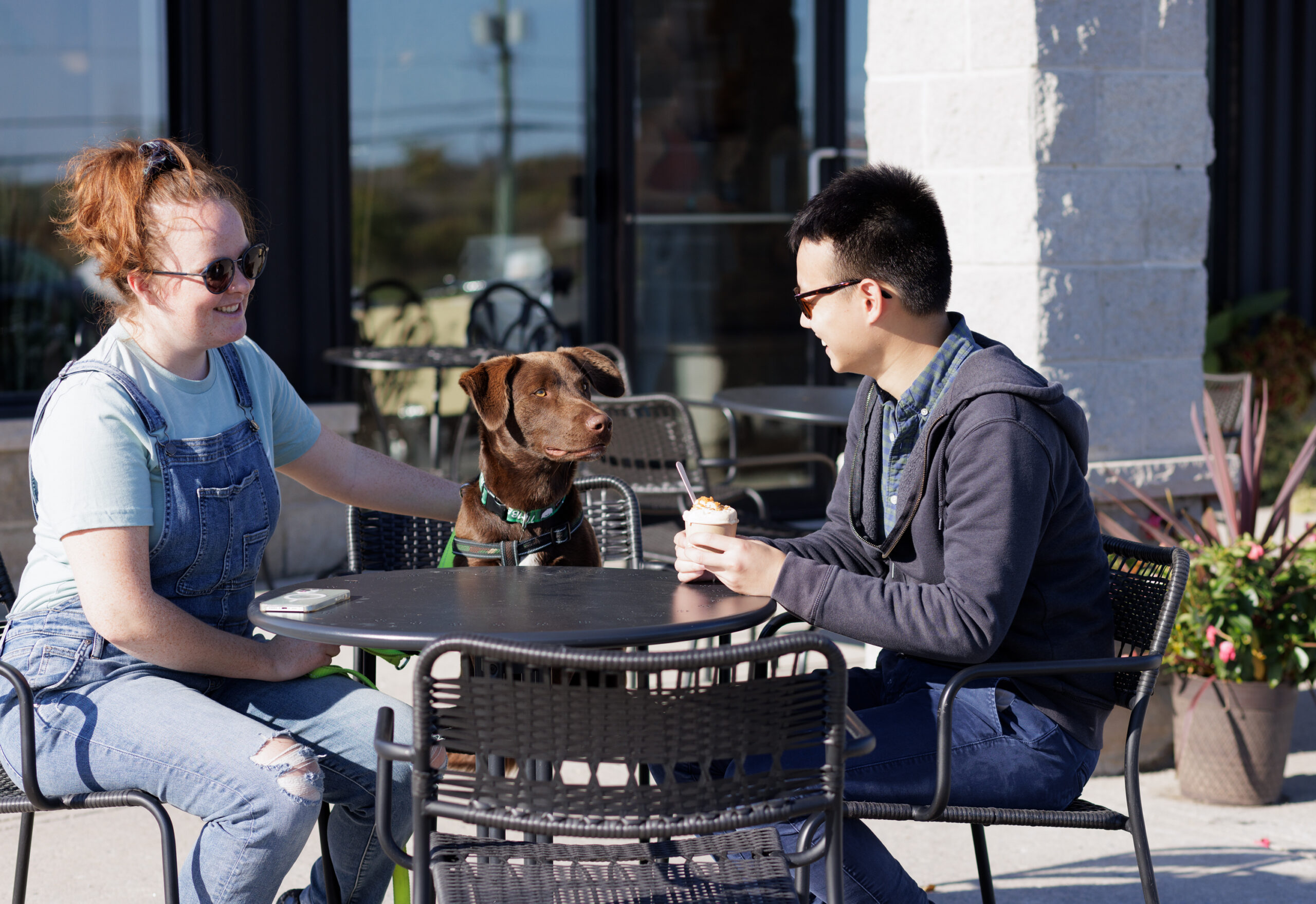 Your Guide to Dog-Friendly Lanark County
