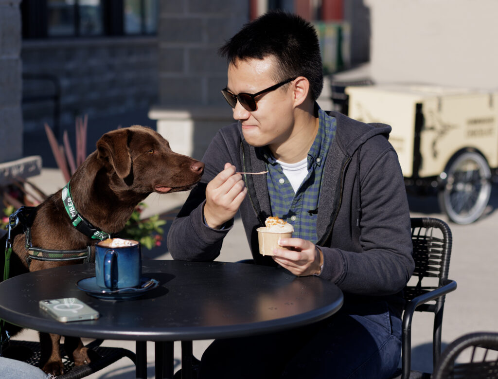 Dog on patio.