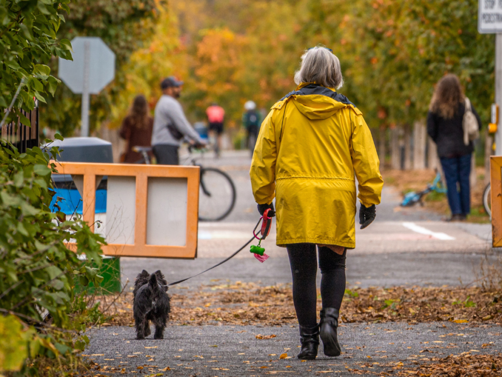 a woman wearing a yellow coat walks her small dog along a busy path